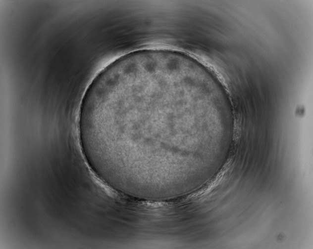 X0000103431231200810101035