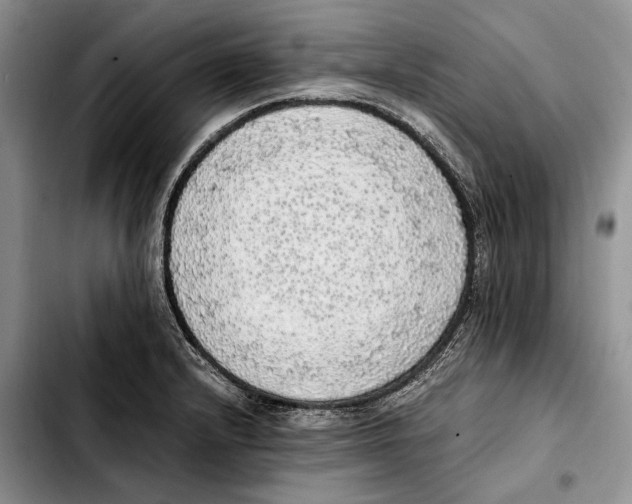 X0000103431232200810101035
