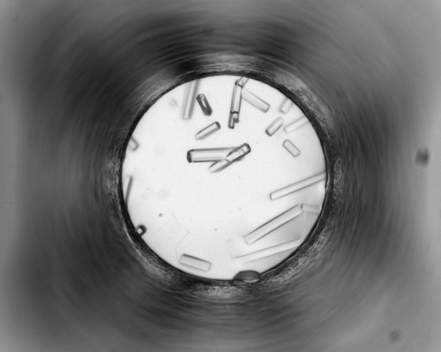 X0000103431233200810101035