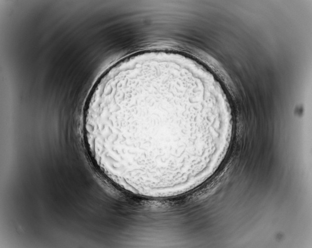 X0000103431234200810101035