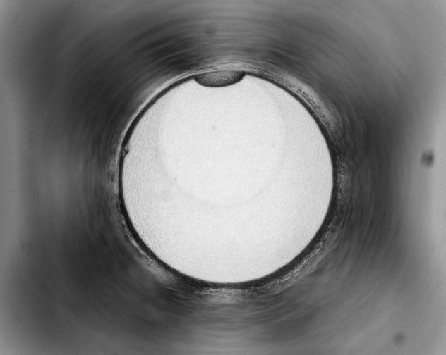 X0000103431236200810101035