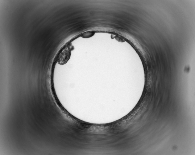 X0000103431237200810101035