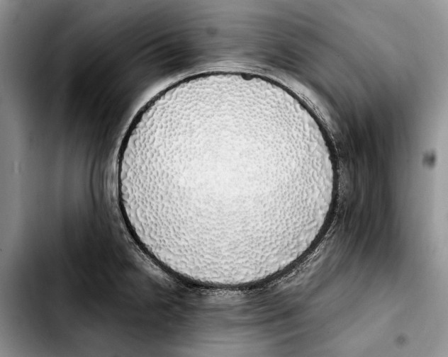 X0000103431238200810101035