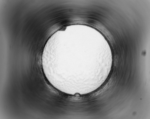 X0000103431241200810101035