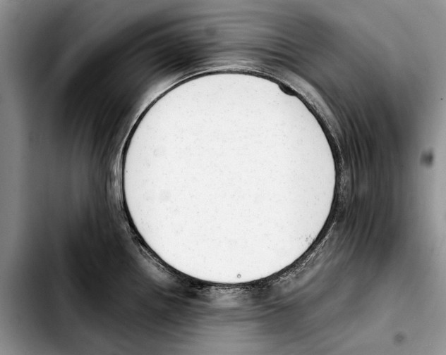 X0000103431242200810101035