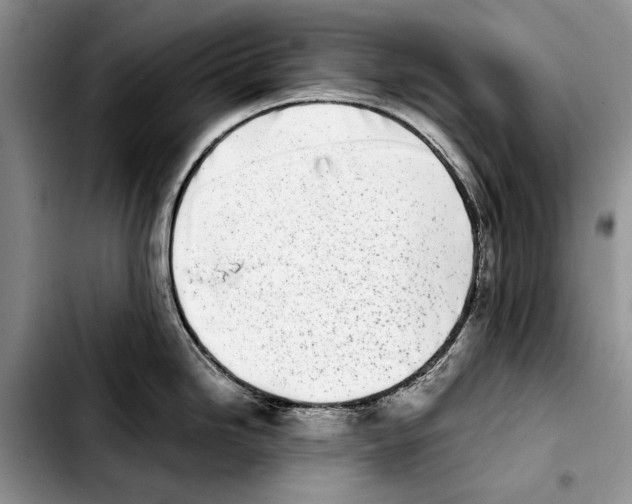 X0000103431246200810101035