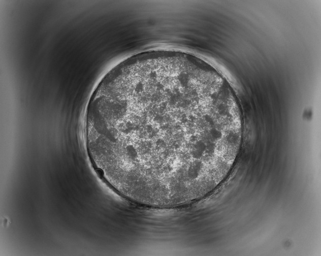 X0000103431247200810101035