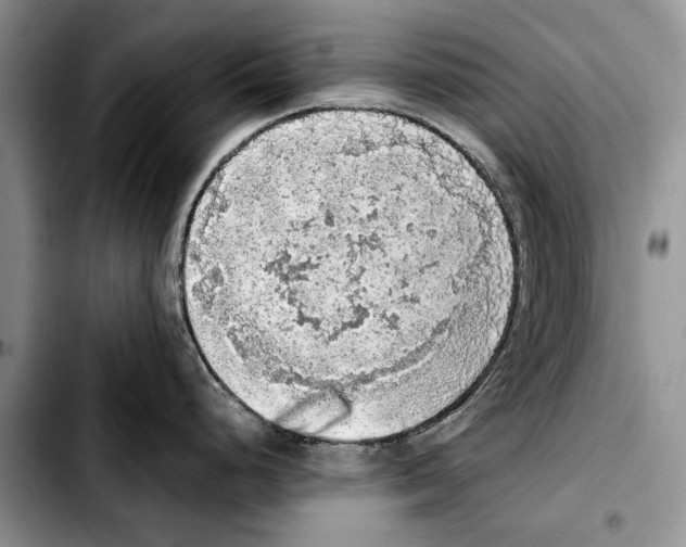 X0000103431248200810101035