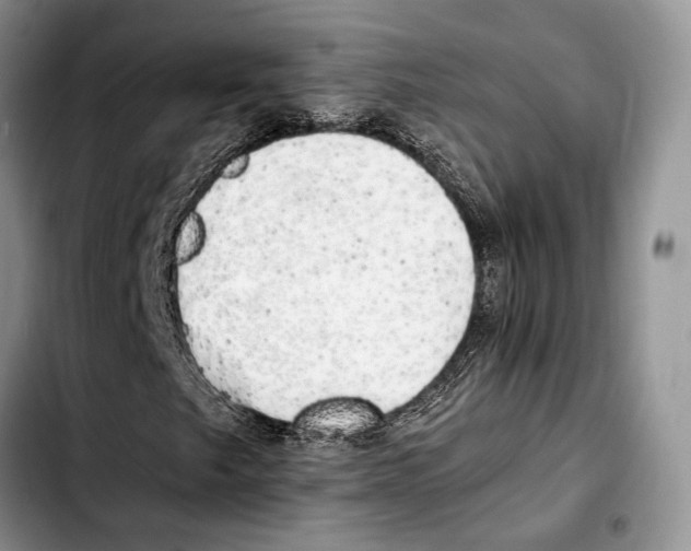 X0000103431249200810101034