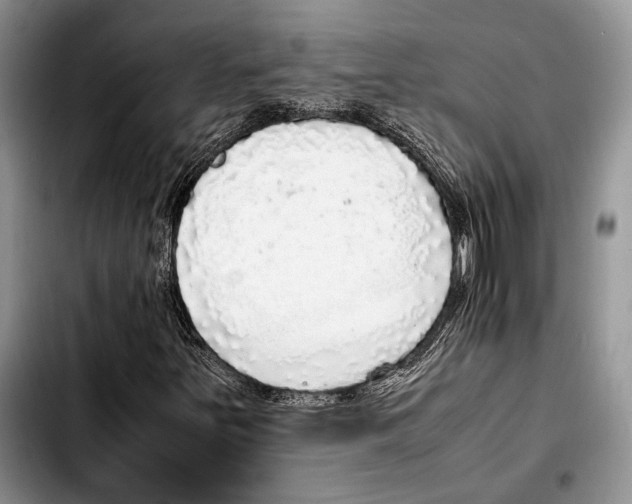 X0000103431251200810101034