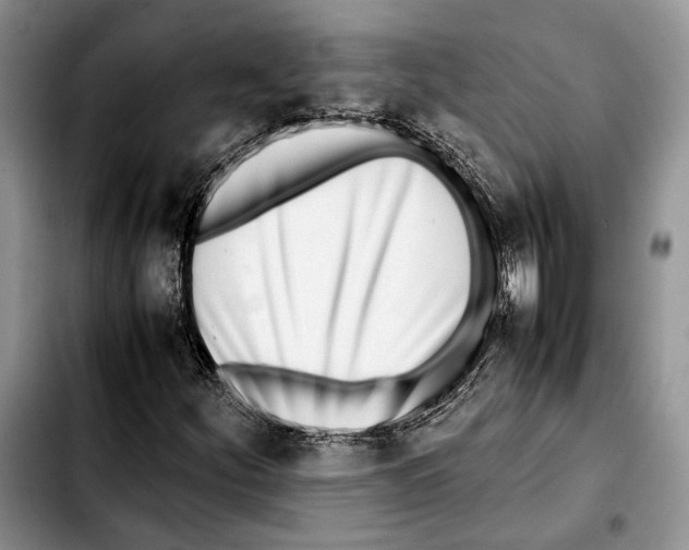 X0000103431252200810101034