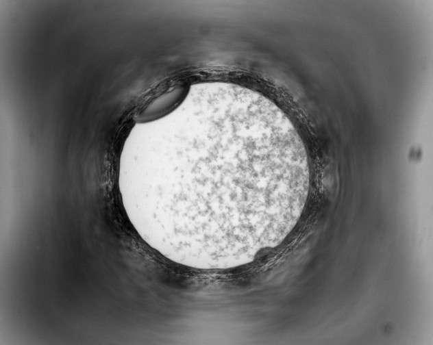 X0000103431253200810101034