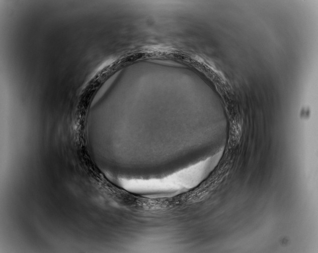 X0000103431254200810101034