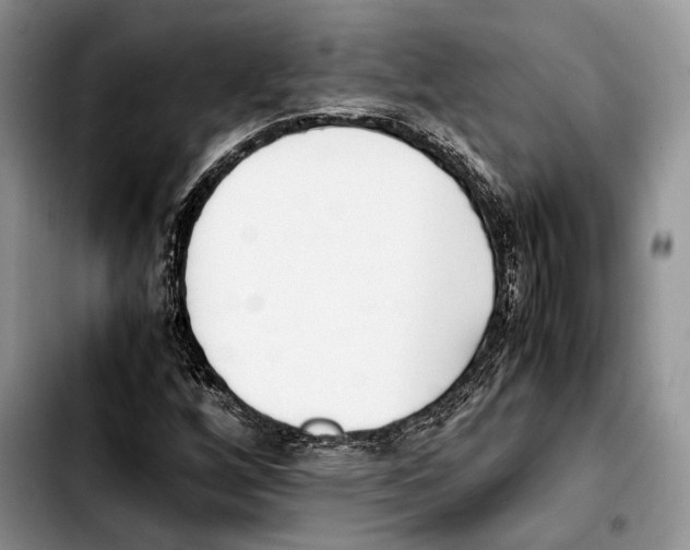 X0000103431256200810101034