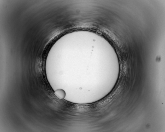 X0000103431258200810101034