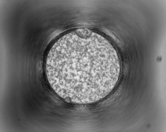 X0000103431259200810101034