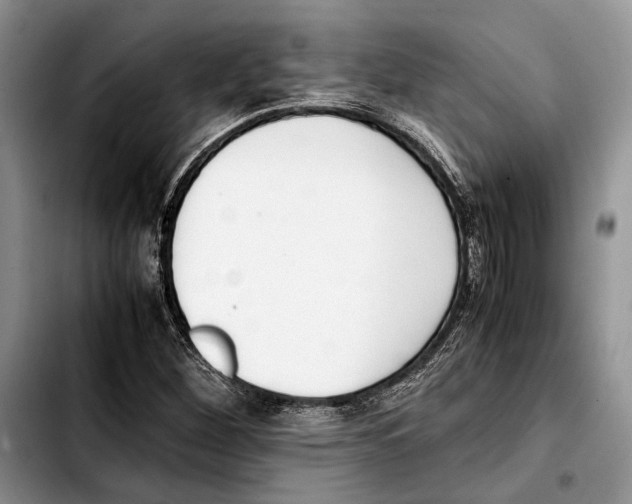 X0000103431260200810101034