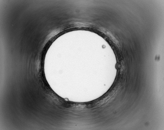 X0000103431261200810101034