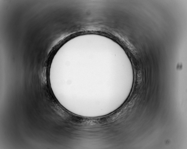 X0000103431262200810101034