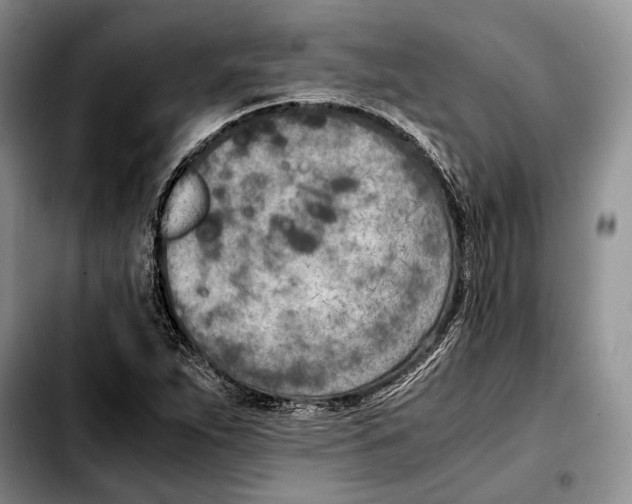 X0000103431263200810101034