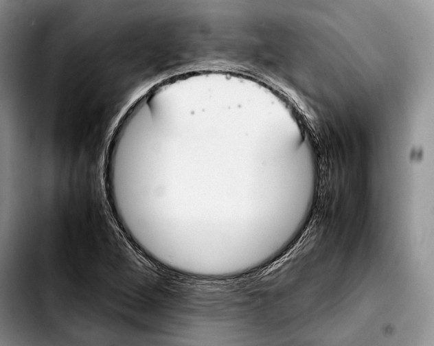 X0000103431264200810101034