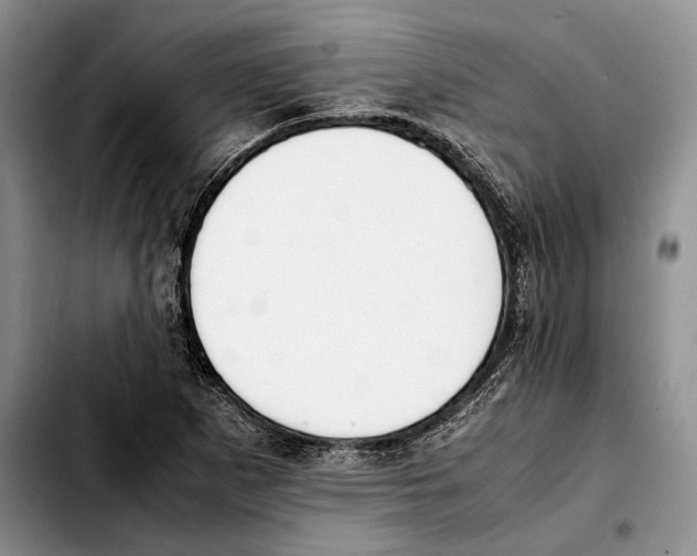 X0000103431265200810101034