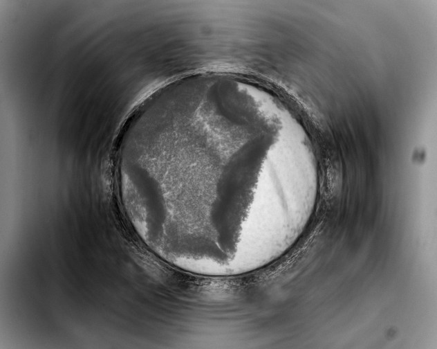 X0000103431266200810101034