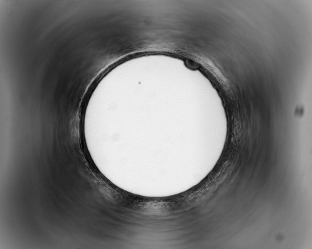 X0000103431268200810101034