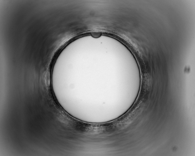 X0000103431269200810101034