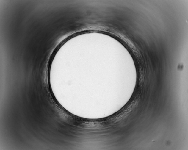 X0000103431272200810101034