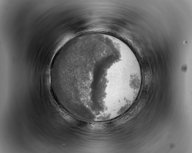 X0000103431274200810101034