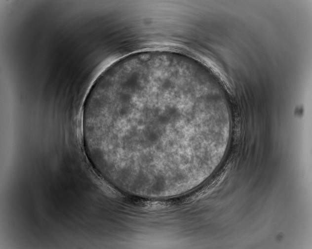 X0000103431275200810101034