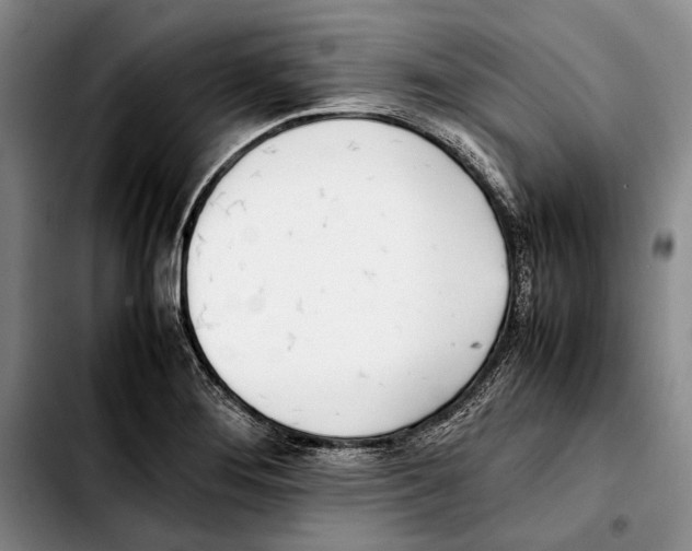 X0000103431276200810101034