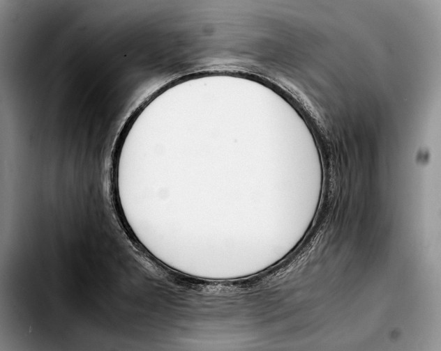 X0000103431277200810101034