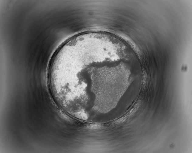 X0000103431278200810101034