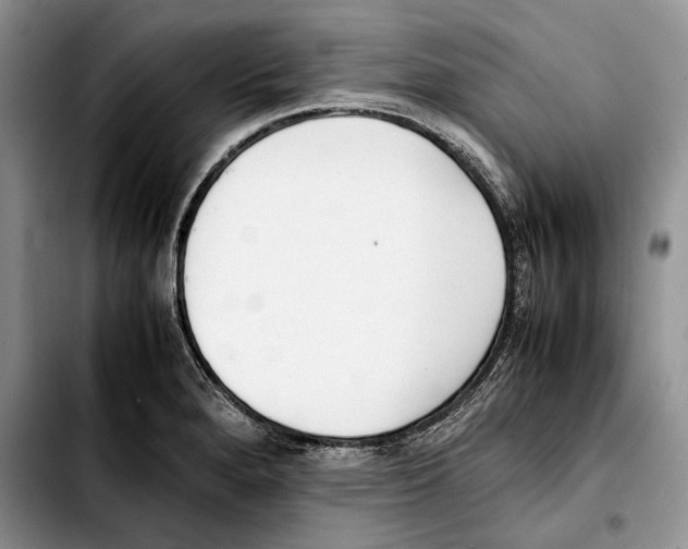 X0000103431280200810101034