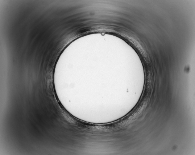 X0000103431281200810101034