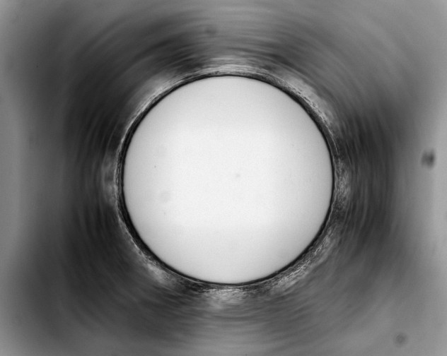 X0000103431282200810101034