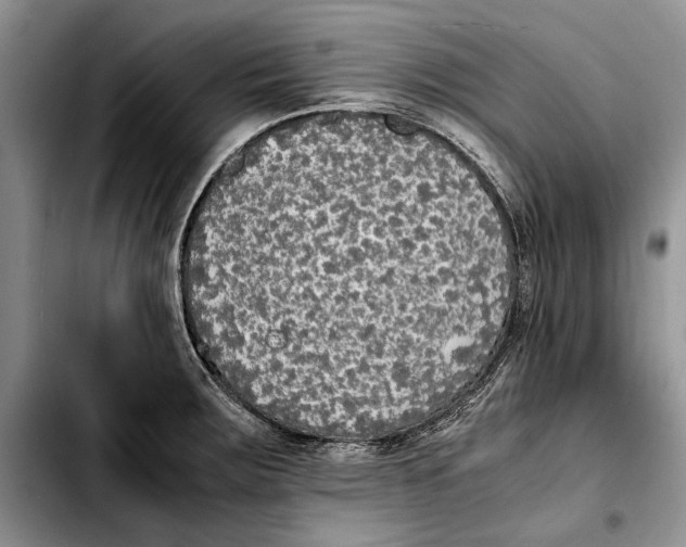 X0000103431283200810101034