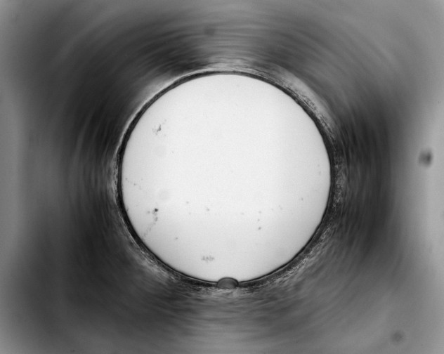 X0000103431284200810101033
