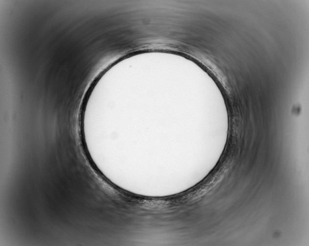 X0000103431285200810101033