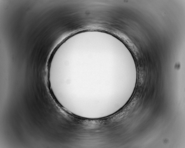 X0000103431286200810101033