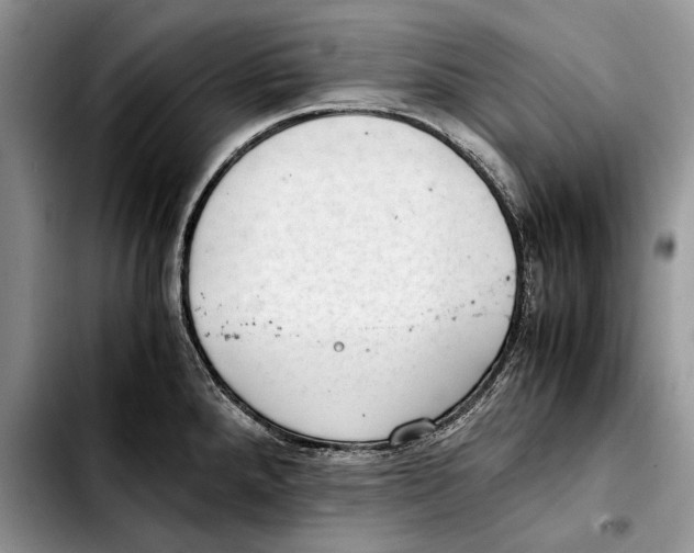 X0000103431288200810101033