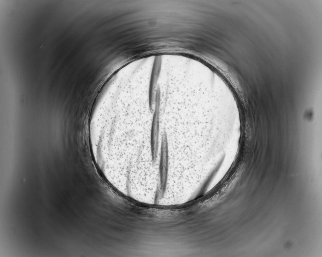 X0000103431289200810101033
