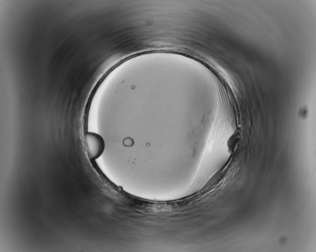 X0000103431291200810101033