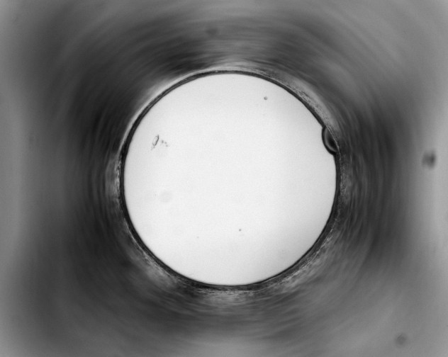 X0000103431292200810101033