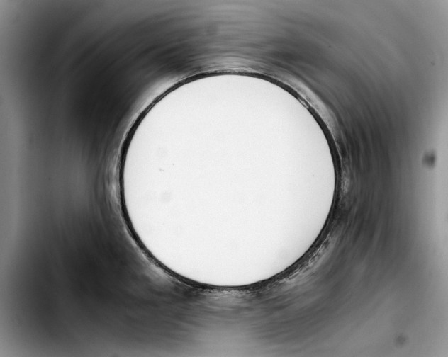 X0000103431293200810101033
