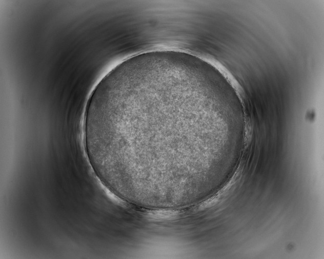 X0000103431294200810101033