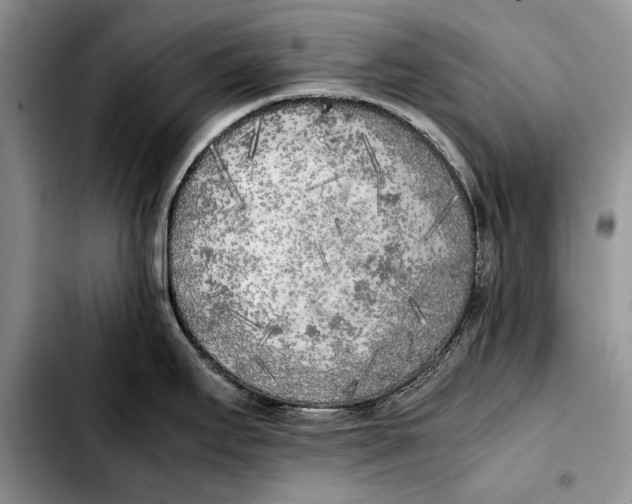 X0000103431295200810101033