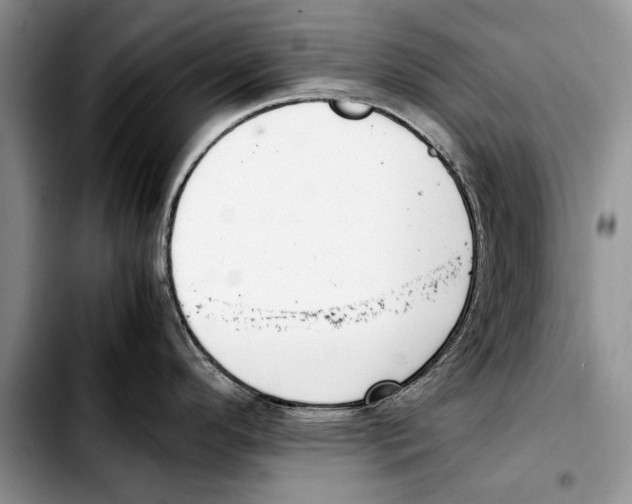 X0000103431296200810101033
